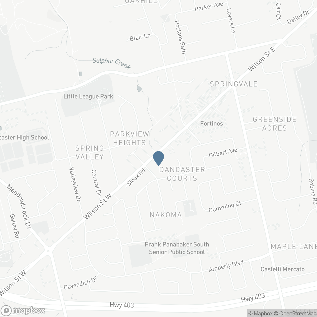 150 WILSON Street W Unit# 303, Ancaster, Ontario L9G 4E7